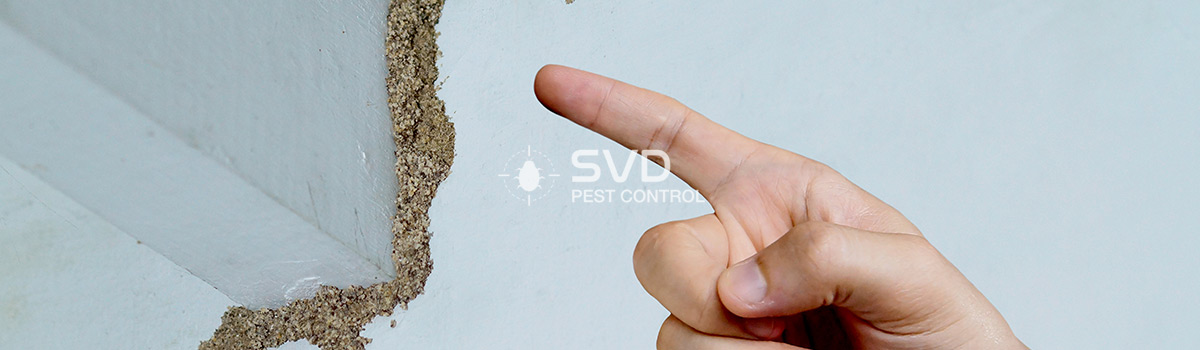 SVD Pest Control