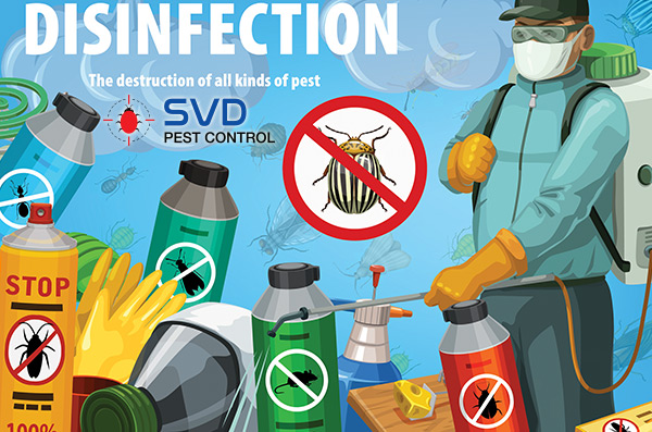 SVD Pest Control Contact Us