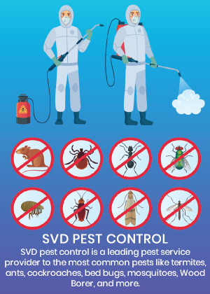 SVD Pest Control