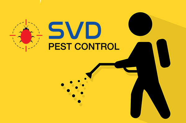 SVD Pest Control